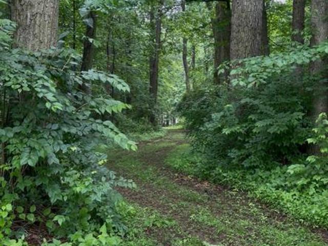 House for sale in Codorus, Pennsylvania
