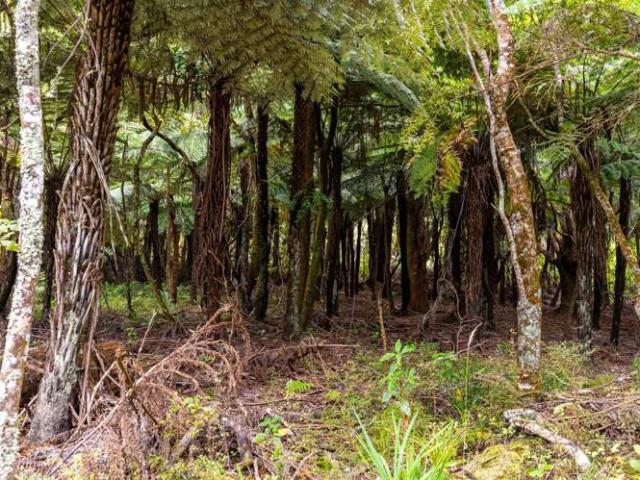 House for sale in Aranga, Northland