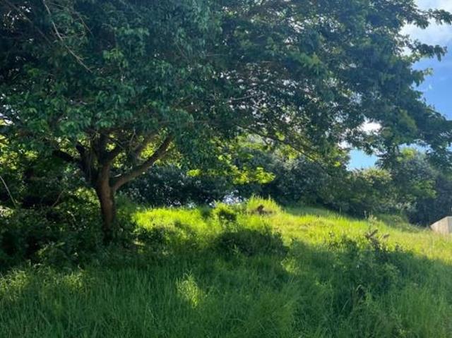 Land for sale