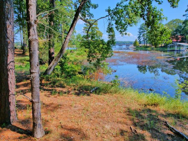 House for sale in Sabine, Texas
