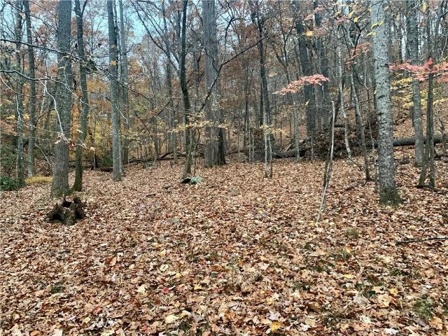 Land for sale in Pickens, Georgia