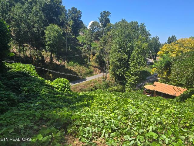 Land for sale in Tennessee
