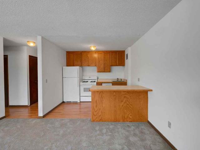 Apartment for rent in Hennepin, Minnesota