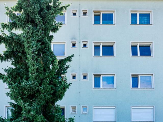 Apartment mieten in Perg, Zeitling