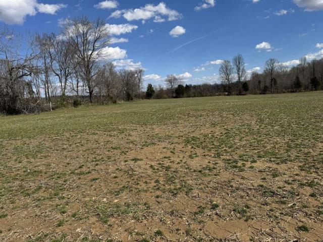 Land for sale in Greenville, Kentucky