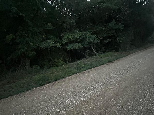 Land for sale in Piggott, Clay County