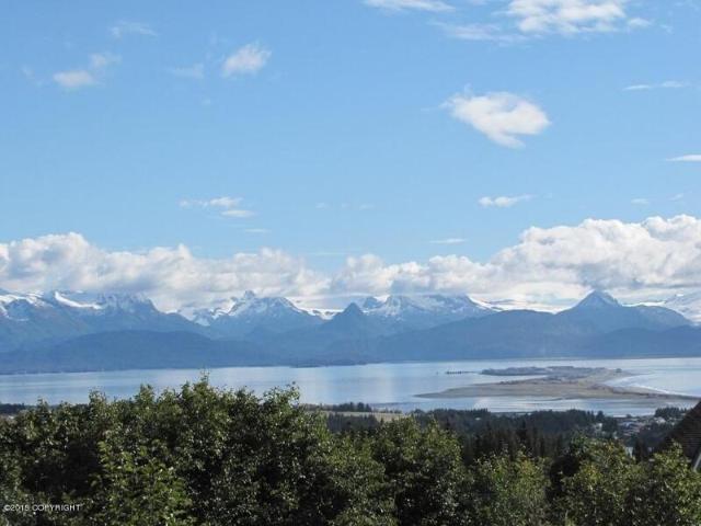 Land for sale in Homer Land for sale in Homer