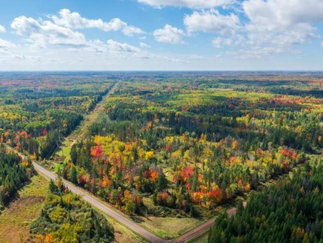 Land for sale in Barnum, Carlton County