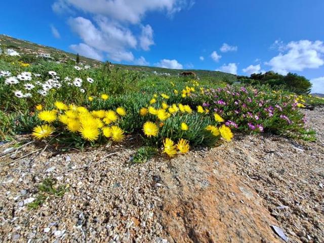 Land for sale in West Coast Village, City of Cape Town