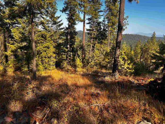 Land for sale in Deer Park, Washington