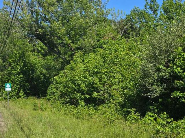 Land for sale in Fredericksburg, Spotsylvania County