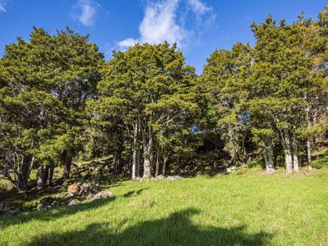 Land for sale in Whangarei, Northland