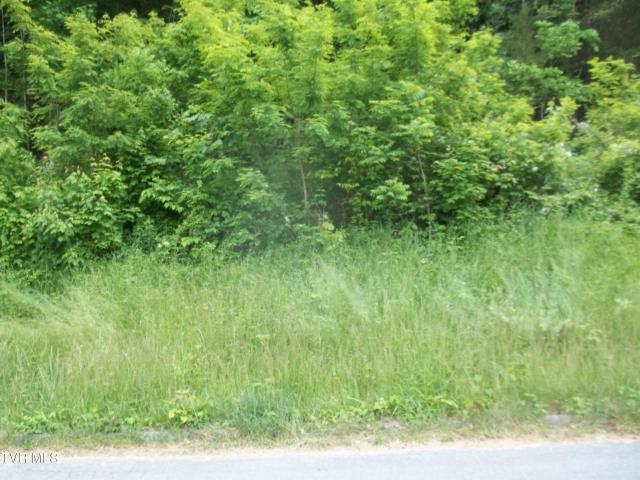 Land for sale in Tennessee
