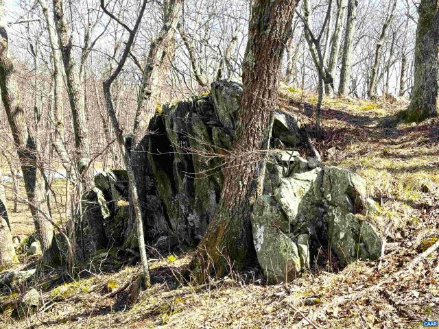 Land for sale in Virginia