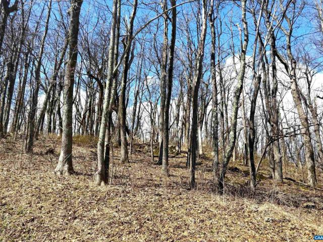 Land for sale in Virginia
