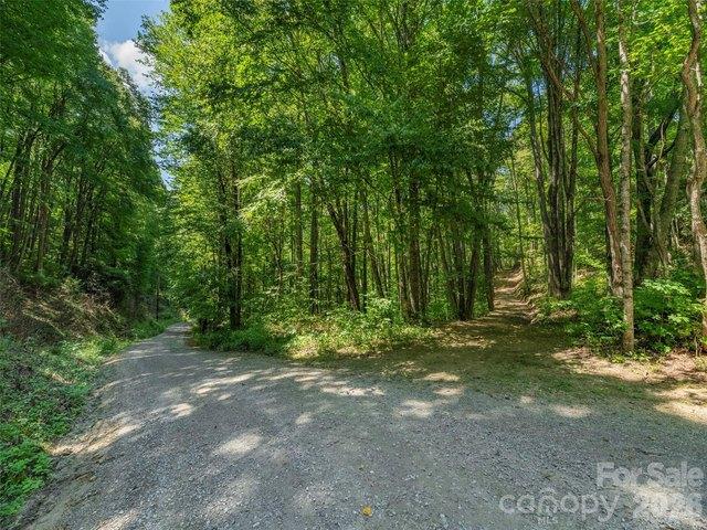 Land for sale in Haywood, North Carolina