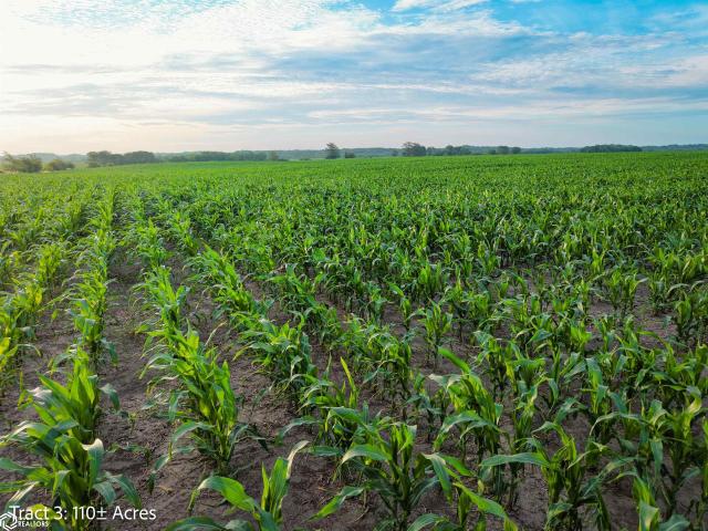 Farm for sale in Derby, Iowa
