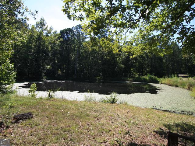 Land for sale in Georgia