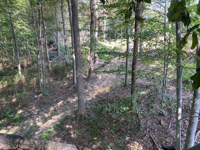 Land for sale in Otway, Ohio
