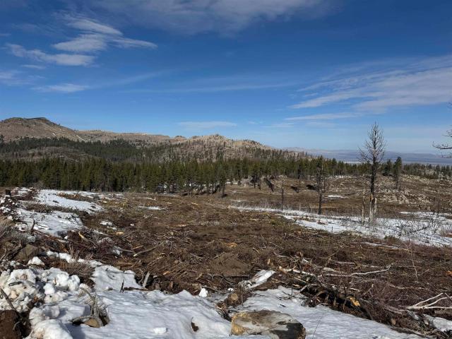 Land for sale in Doyle, California