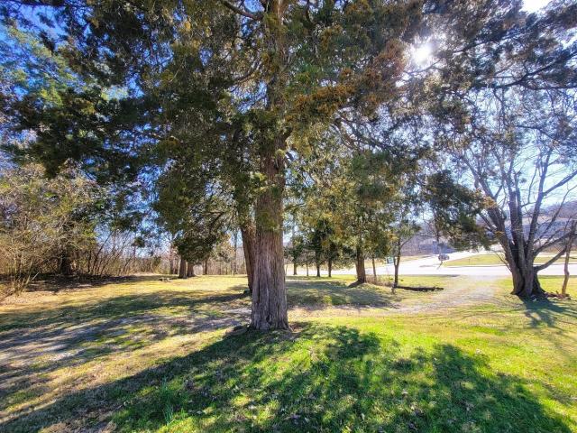 Commercial for sale in Mount Juliet