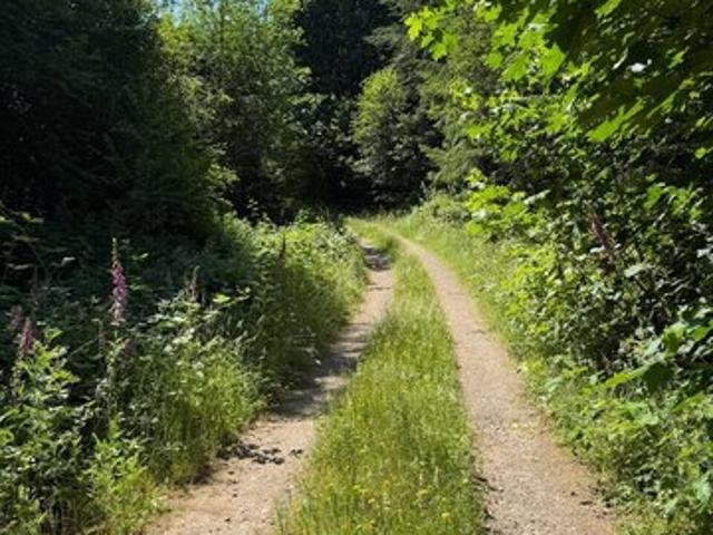 Land for sale in Shelton, Washington