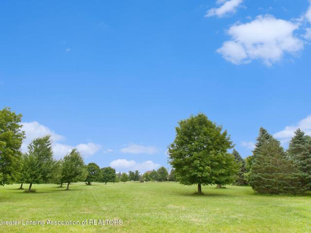 Land for sale in Williamston