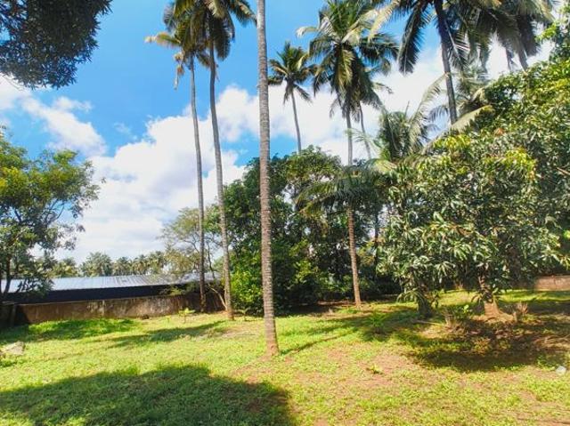 Land for sale in Thrissur, Kerala