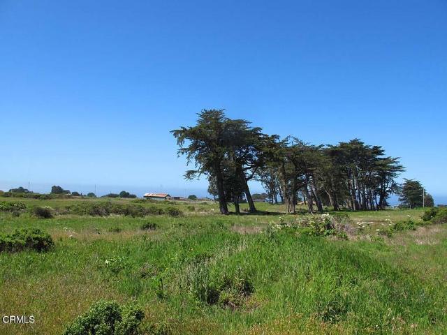 Land for sale in Manchester, California