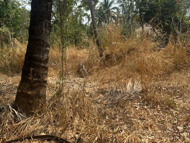 Land for sale in Thrissur, Kerala