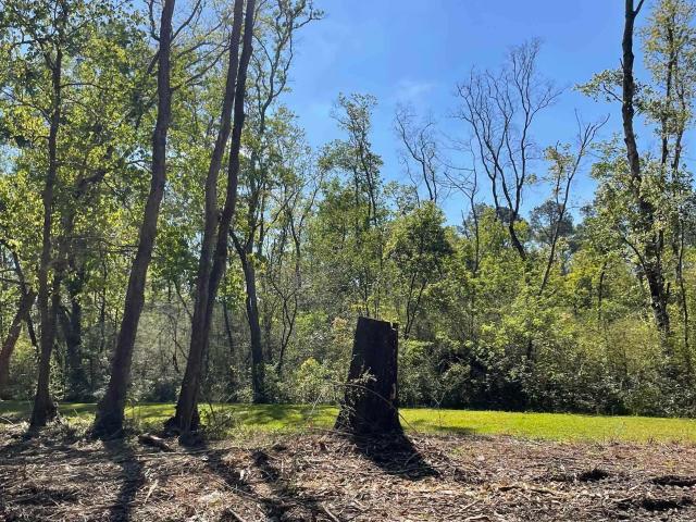 Land for sale in Robertsdale, Alabama
