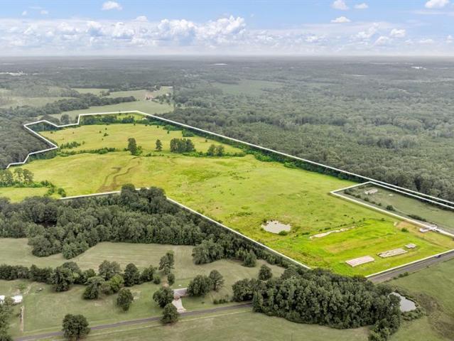 Land for sale in Panola, Texas