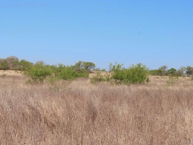 Land for sale in Medina, Texas