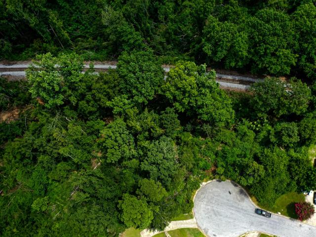 Land for sale in Evans Land for sale in Evans