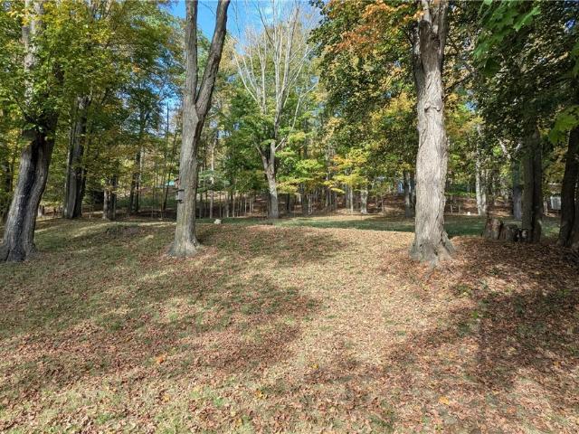 House for sale in Oneonta, New York