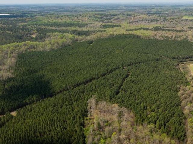 Land for sale in Upson, Georgia