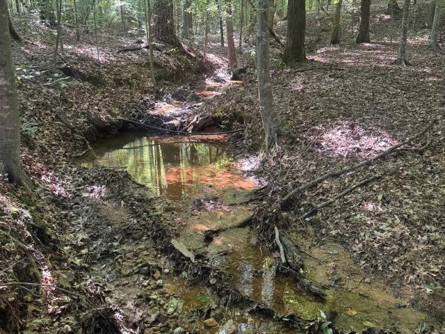 Land for sale in Roopville, Georgia