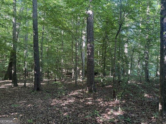 Land for sale in Roopville, Georgia