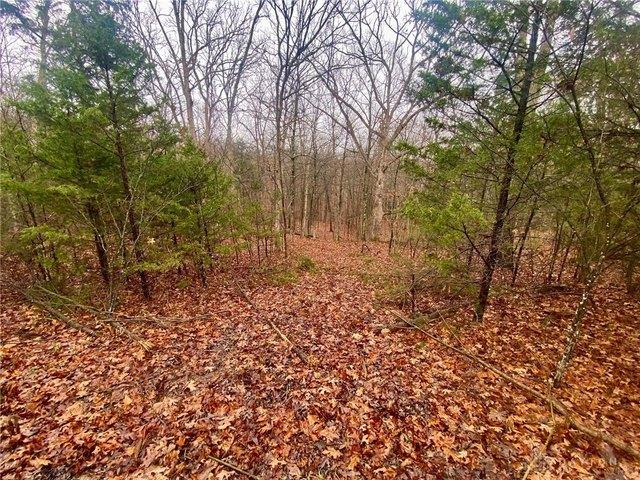 Land for sale in West Union, Ohio