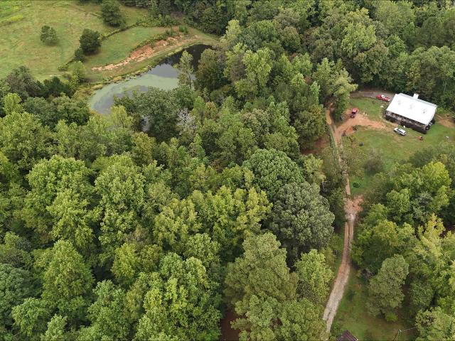 Land for sale in Ball Ground, Georgia