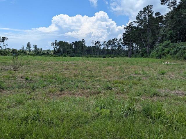 Land for sale in Saint Helena, Louisiana