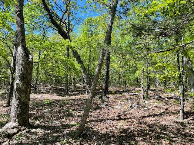 Land for sale in Yellville, Marion County