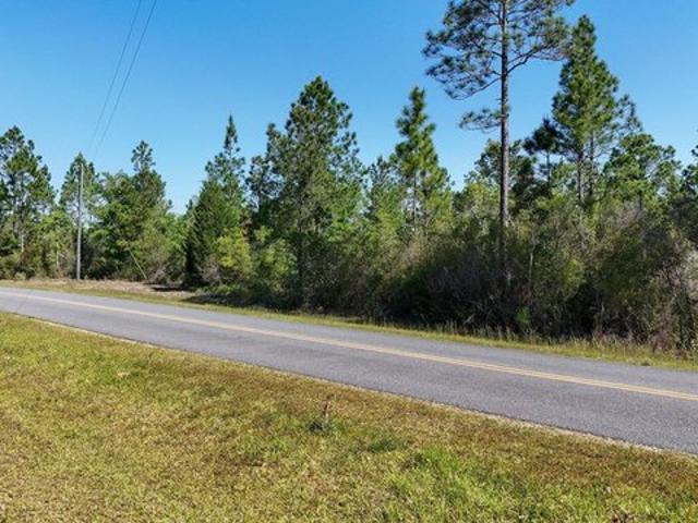 Land for sale in Altha, Florida