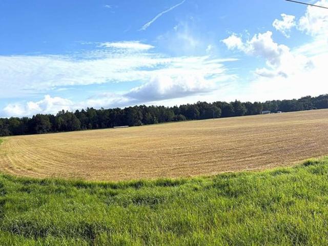 Land for sale in Suwannee, Florida