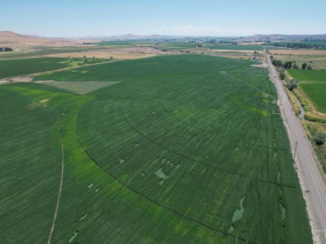Farm for sale in Oregonia