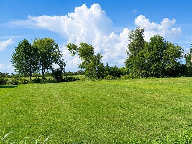 Land for sale in Bourg, Louisiana