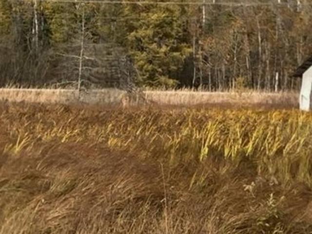 Land for sale in Pickford, Michigan