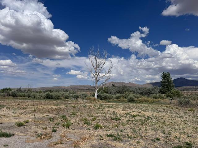 Land for sale in Doyle, California