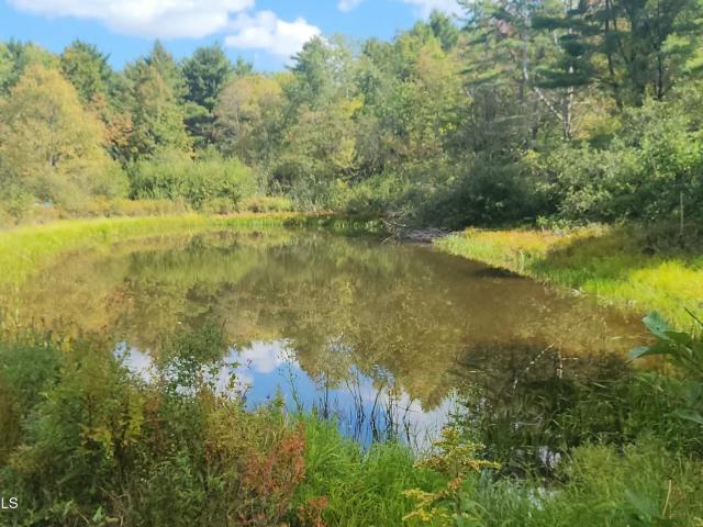 House for sale in Ashland, New York