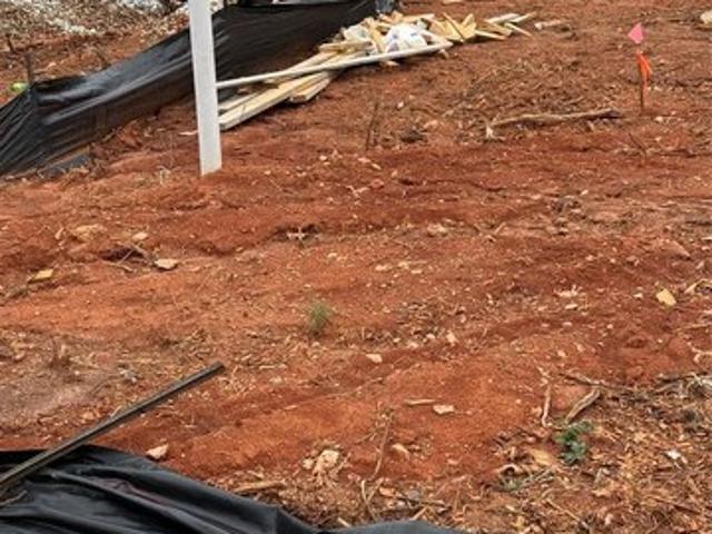 Land for sale in Rutherford, North Carolina